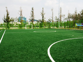 풋살장